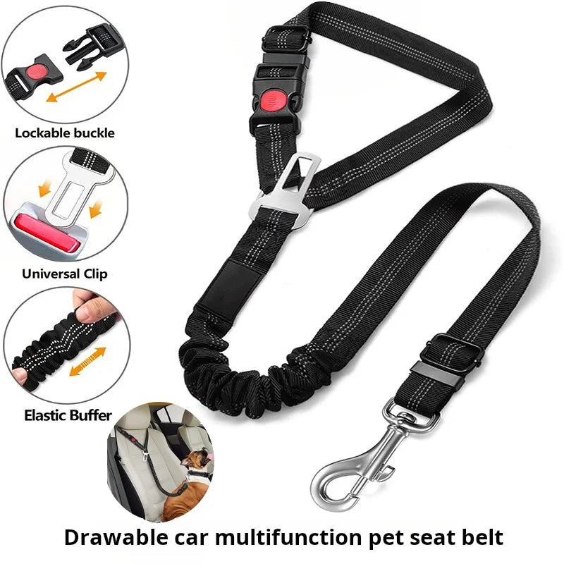 Multi-Functional Dog Leash with Car Safety Buckle