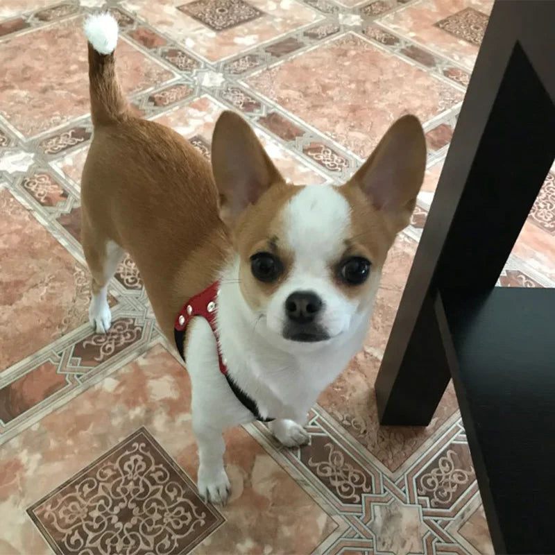 Soft Suede Leather Pet Harness Adjustable Chest Belt for Small Dogs