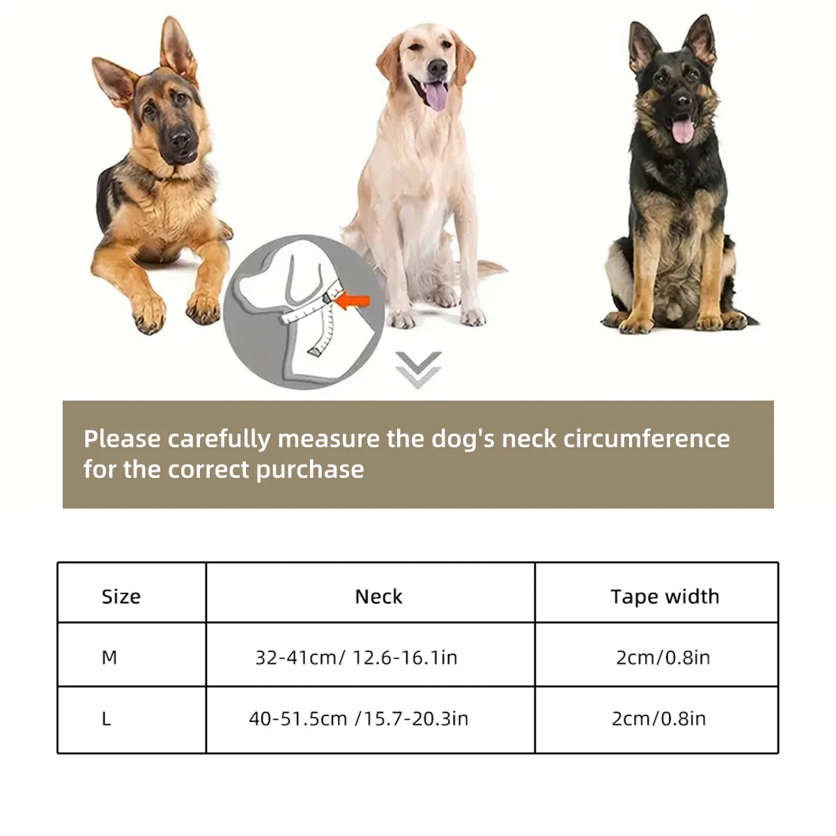 Durable Training & Walking PVC Waterproof Dog Collar