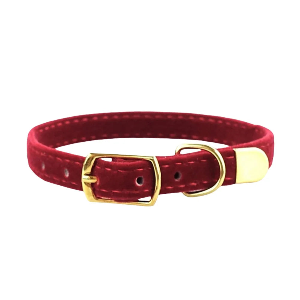 Cat Collar with Bell Safety Collar for Small Dogs & Kittens