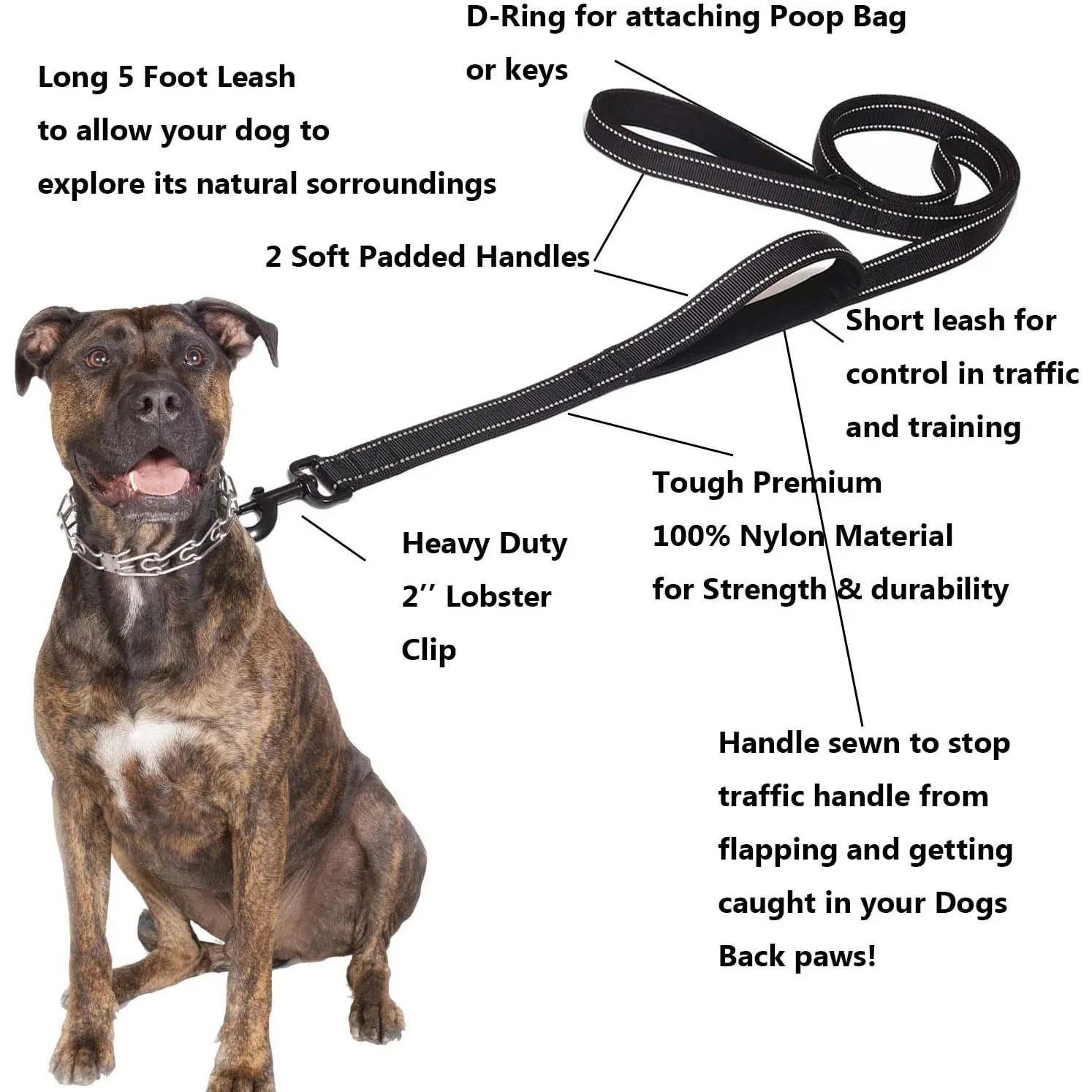 Outdoor Training Heavy Duty Dual Handle Dog Leash