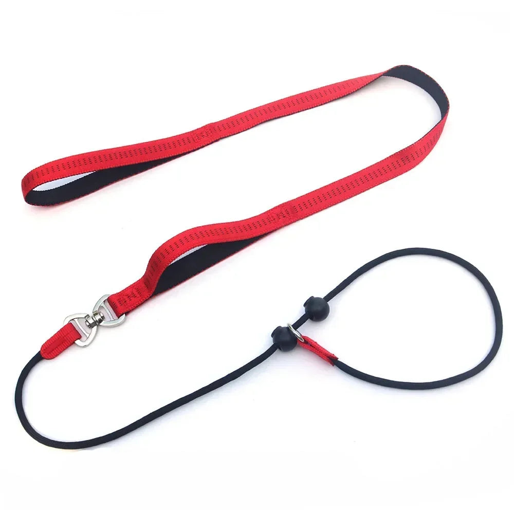150cm Adjustable Reflective Nylon Slip Lead with P Chain Collar Leash