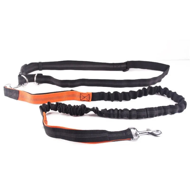 Hands-Free Adjustable Dog Leash with Waist Belt and Chest Strap