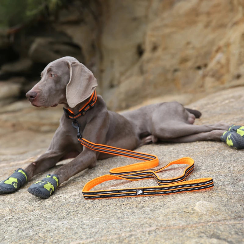 Durable Training Lead Winhyepet 200cm Luxury Dog Leash