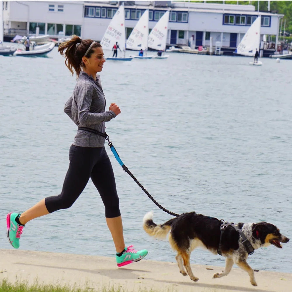 Elastic Running Belt with Metal D-Ring Hands-Free Reflective Dog Leash