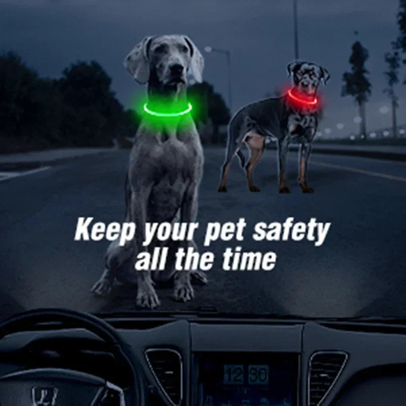 LED Light Dog Collar with Detachable USB Rechargeable Glowing Collar