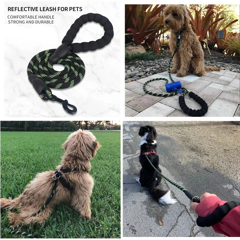 Shock-Absorbing Outdoor Strong Elastic Reflective Dog Leash