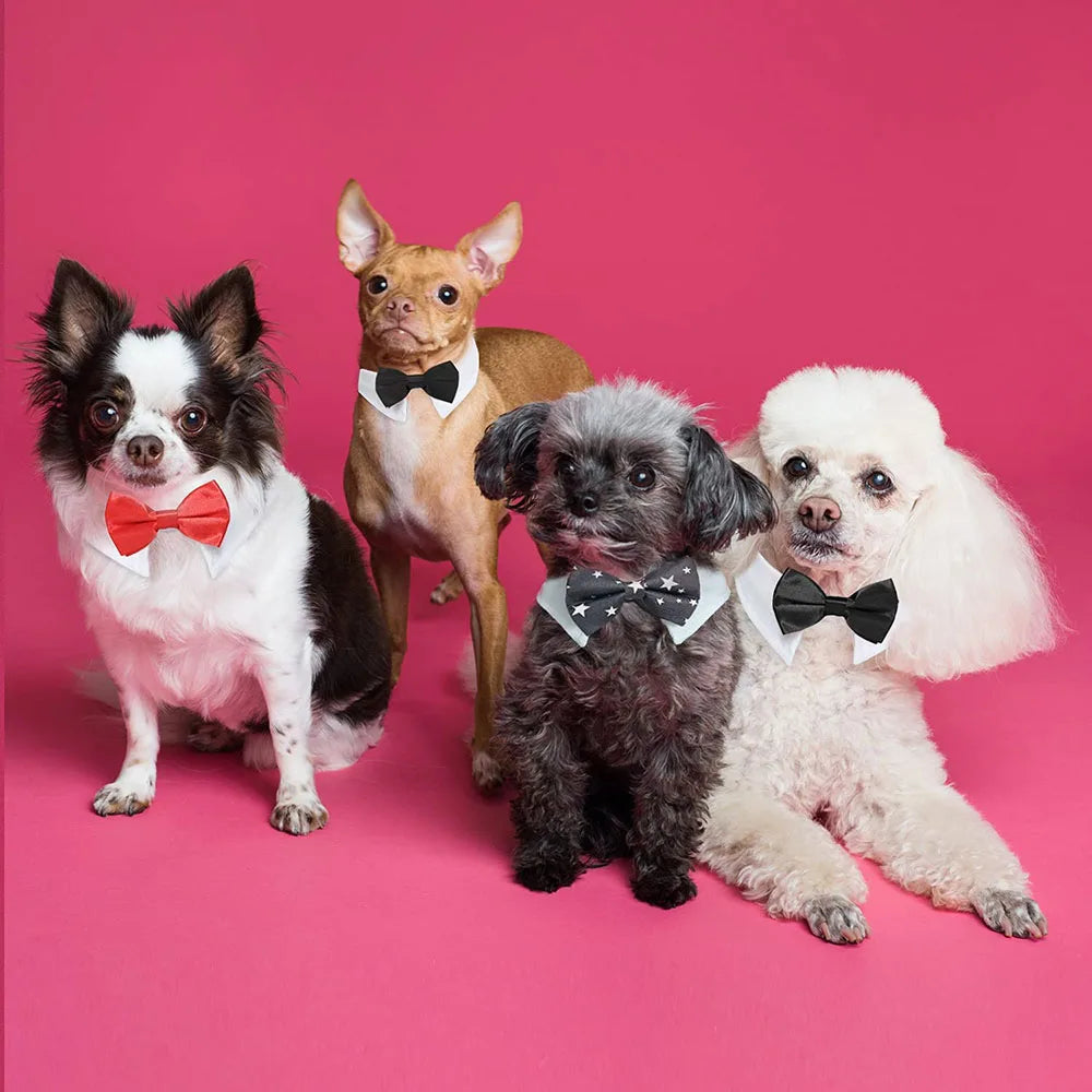 Tuxedo Neck Tie Adjustable Formal Pet Bowtie Collar
