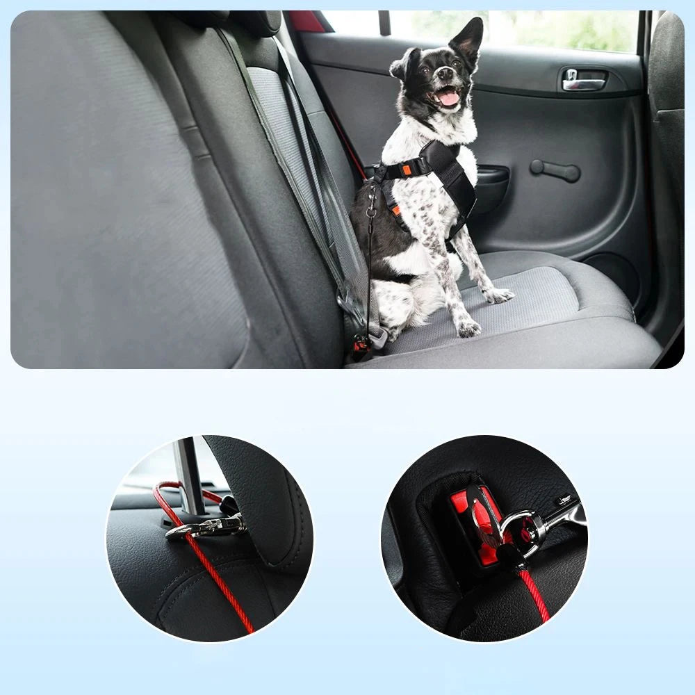 Anti-Bite Wire Universal Car Dog Safety Leash