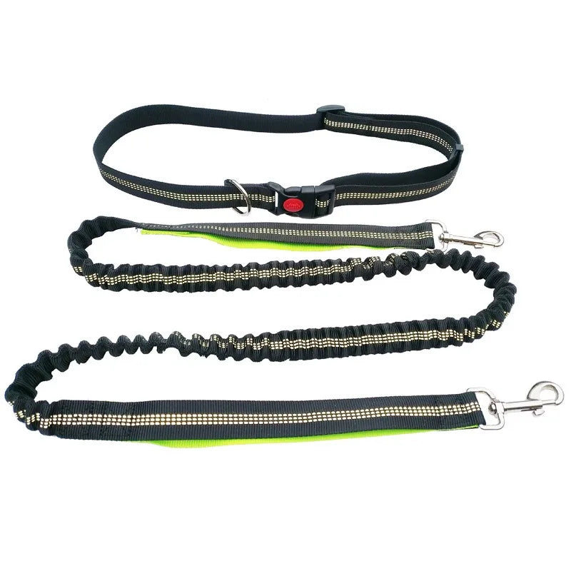 Hands-Free Adjustable Dog Leash with Waist Belt and Chest Strap