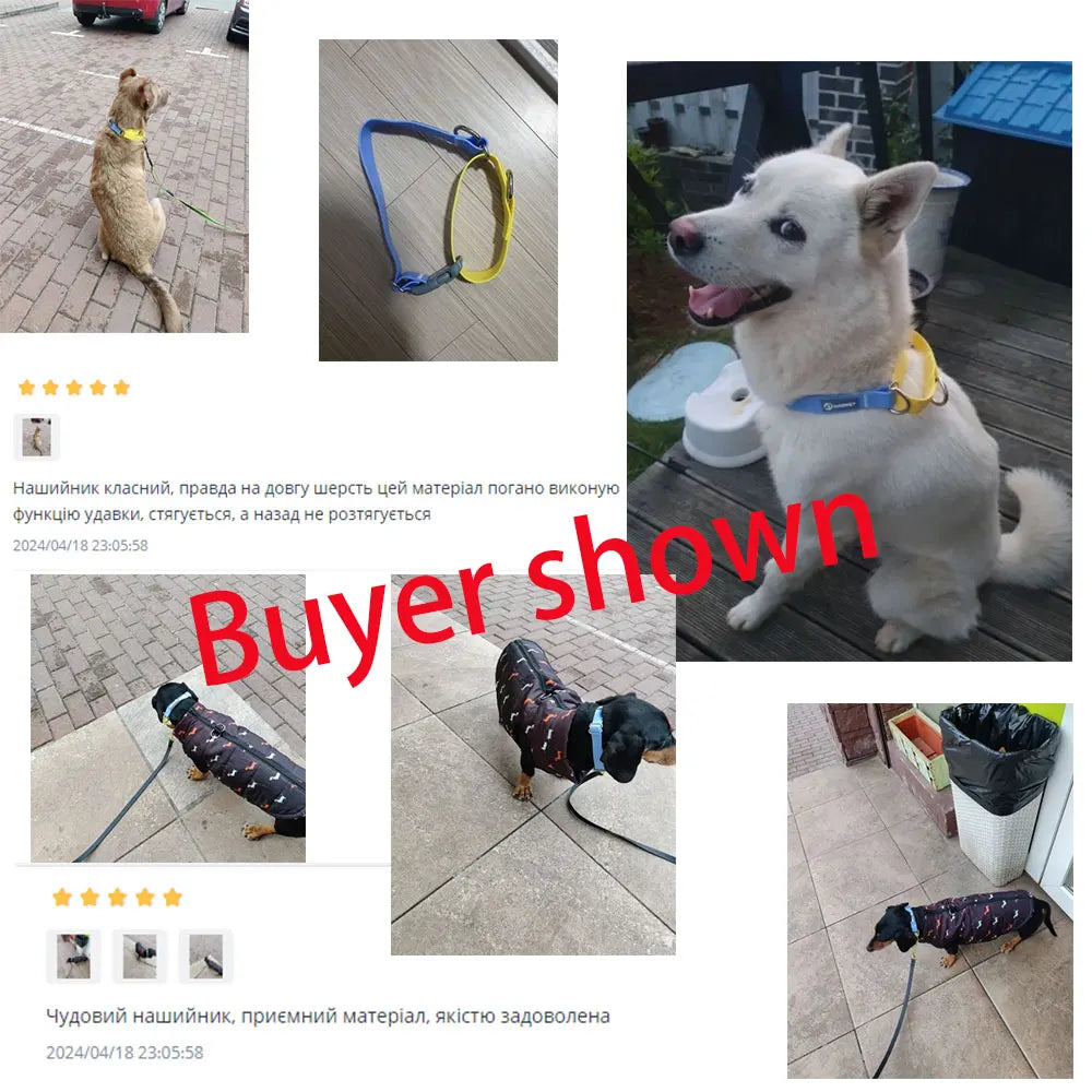Durable Training & Walking PVC Waterproof Dog Collar