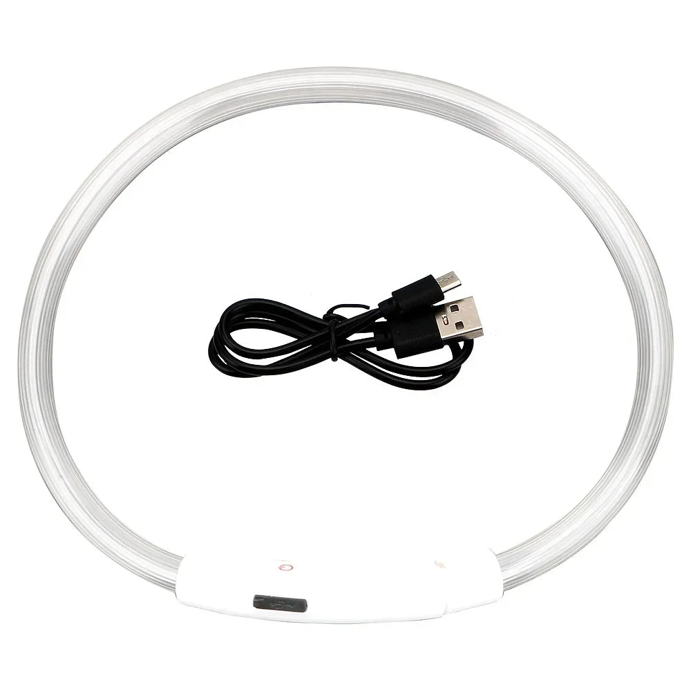 LED Light Dog Collar with Detachable USB Rechargeable Glowing Collar
