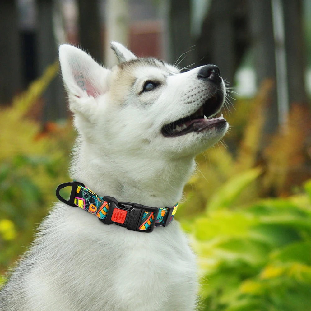 Nylon Puppies Adjustable Flower Print Dog Collar