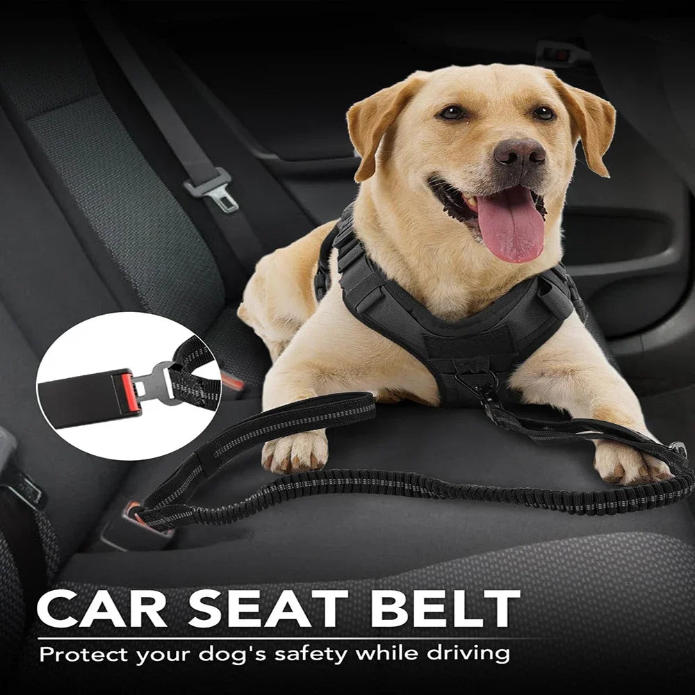 Reflective, Shock-Absorbing No-Pull Tactical Bungee Dog Leash