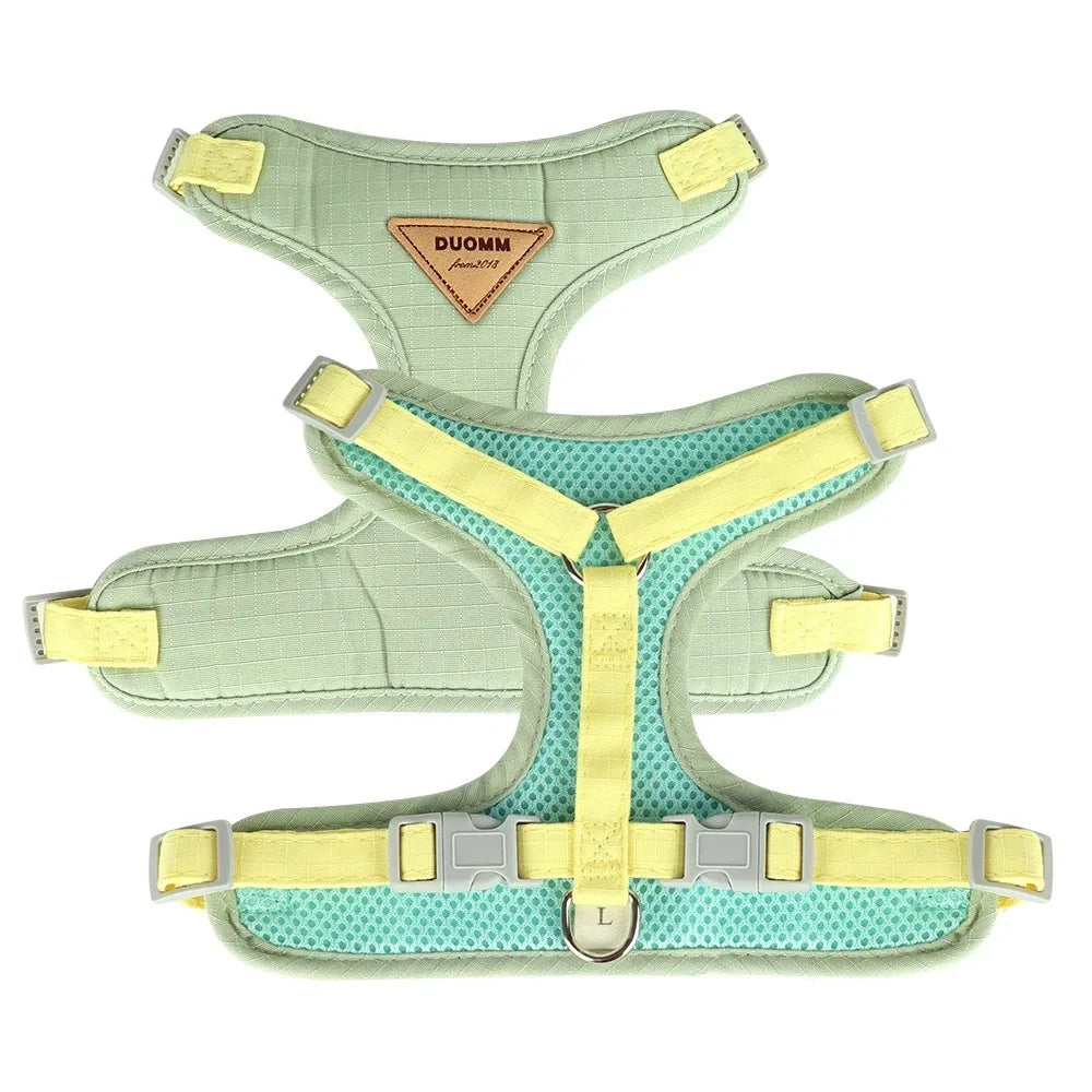 Detachable Pet Collar Cute Harness Accessory for Kittens & Cats