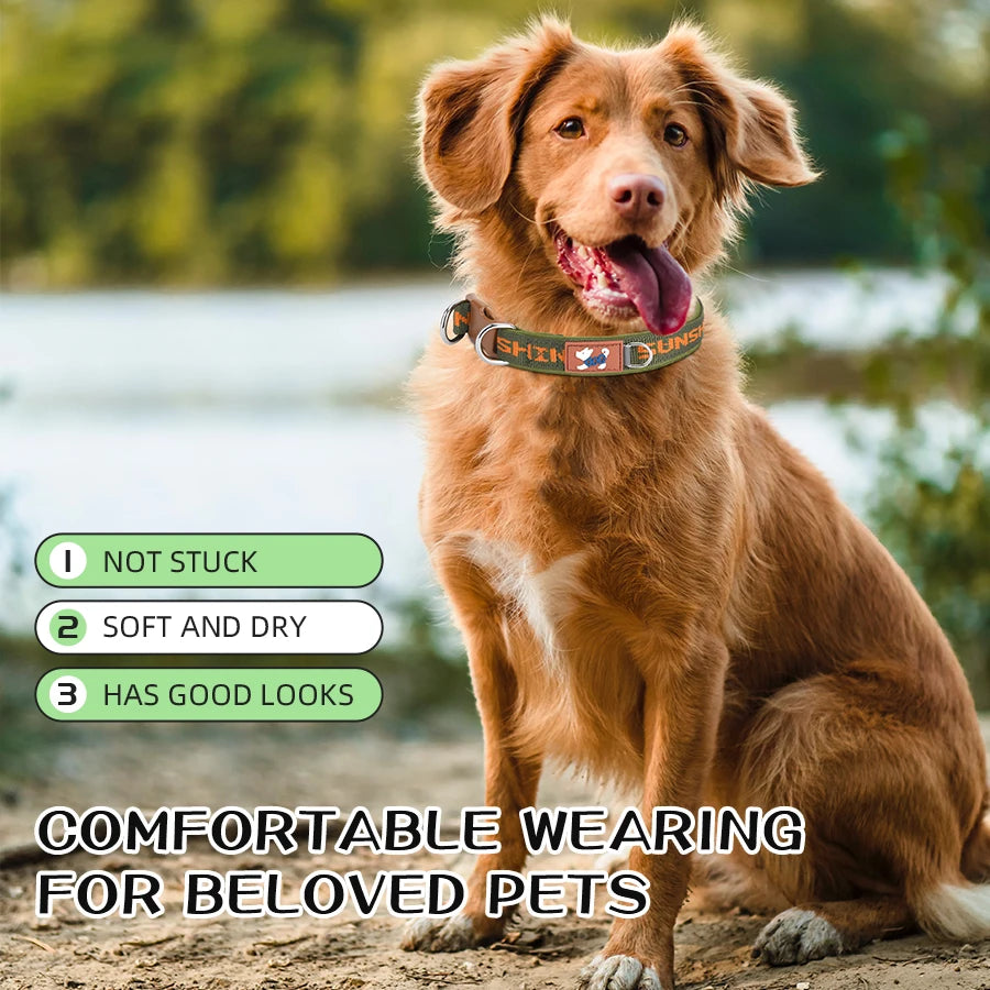 Dog Collar Adjustable, Colorful Prints with Metal D-Rings
