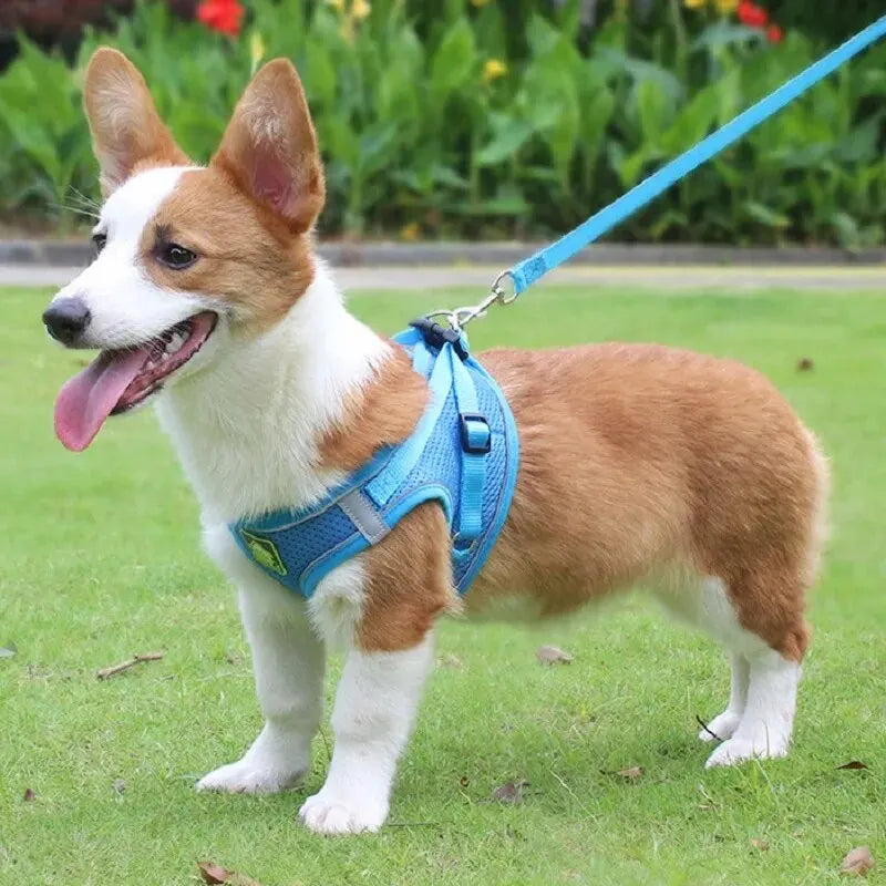 Reflective Pet Harness & Leash Set No-Pull Vest with Breathable Mesh