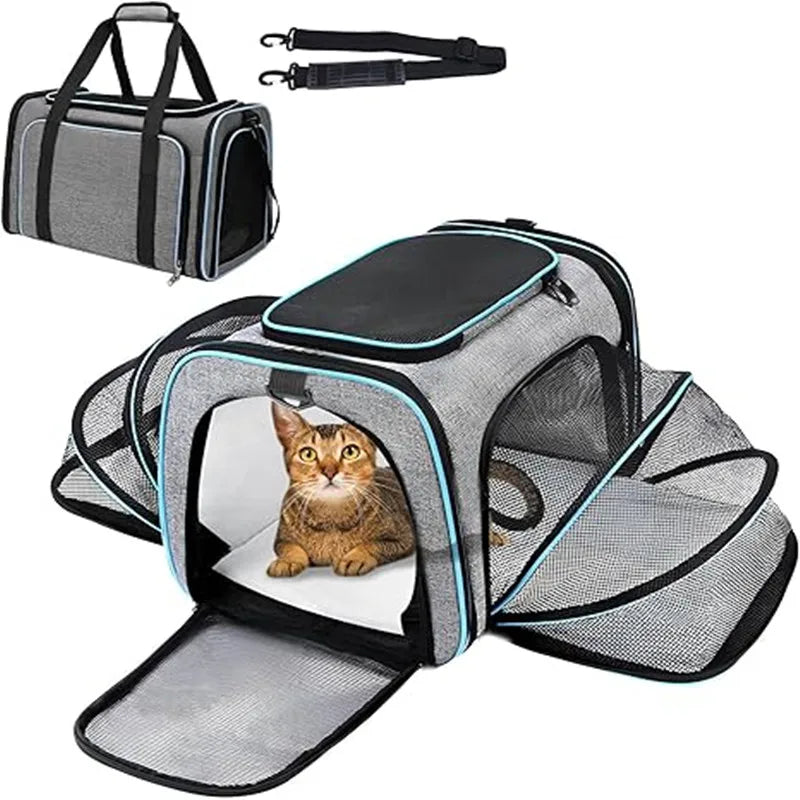 Portable Pet Carrier Backpack Breathable & Foldable for Cats & Dogs