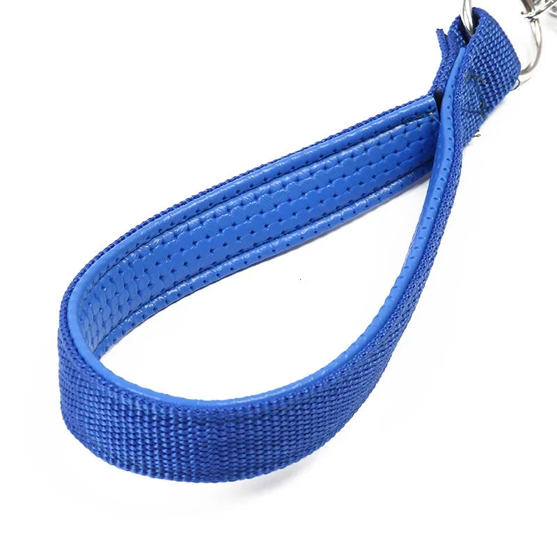 Durable Chew Spring Short Dog Leash with PU Leather Handle