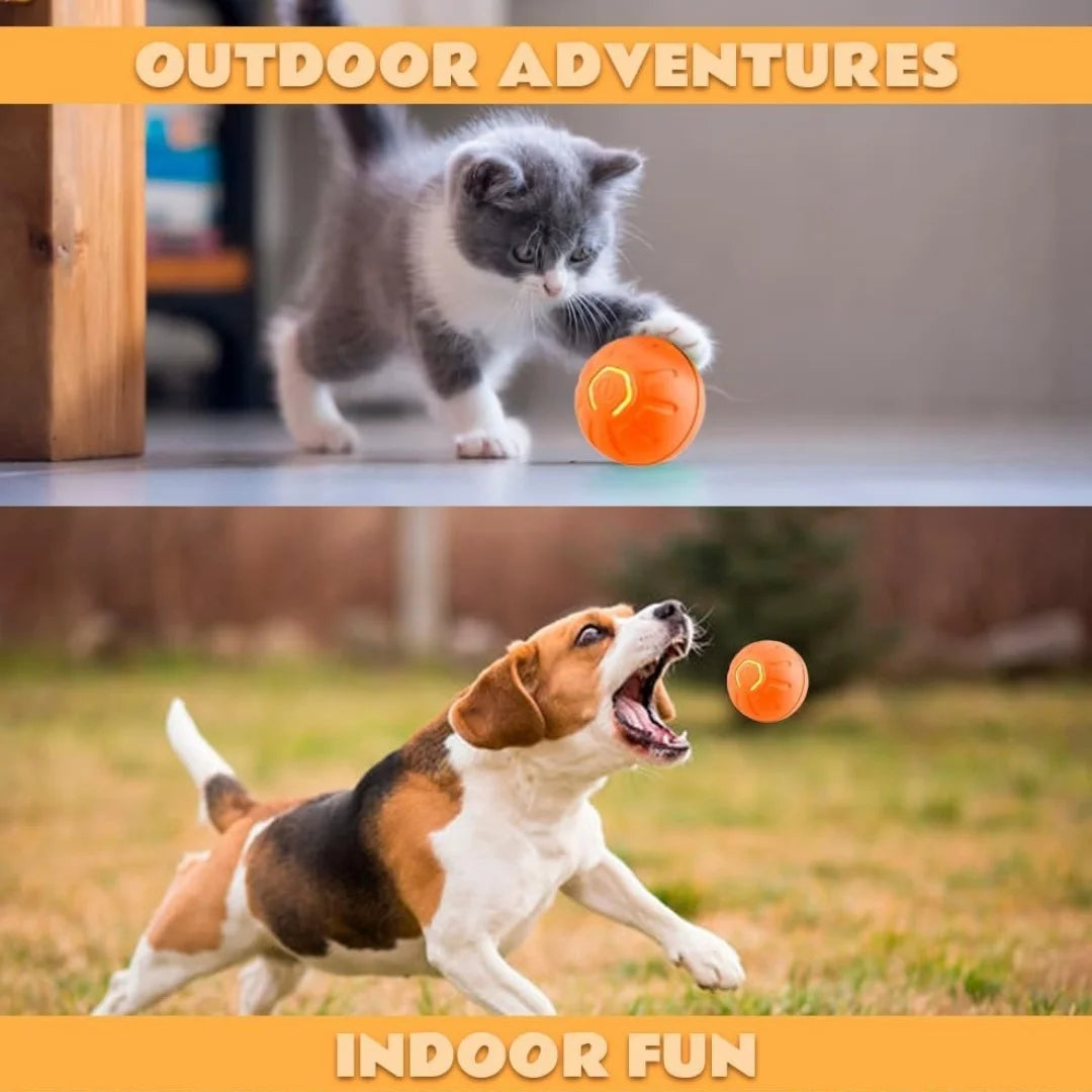 Smart Gravity Bouncing Ball Interactive Toy for Dogs & Cats