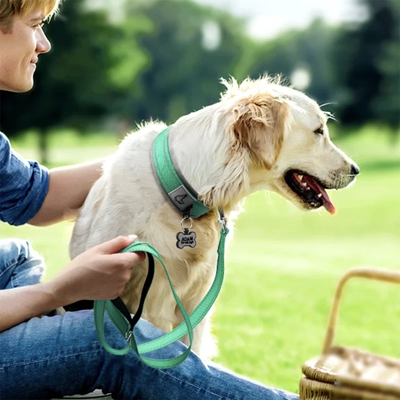 Adjustable Heavy-Duty Nylon Neoprene Padded Reflective Dog Collar
