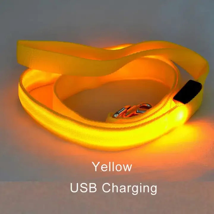 Luminous Flashing Rope Lead LED Light-Up Dog Leash