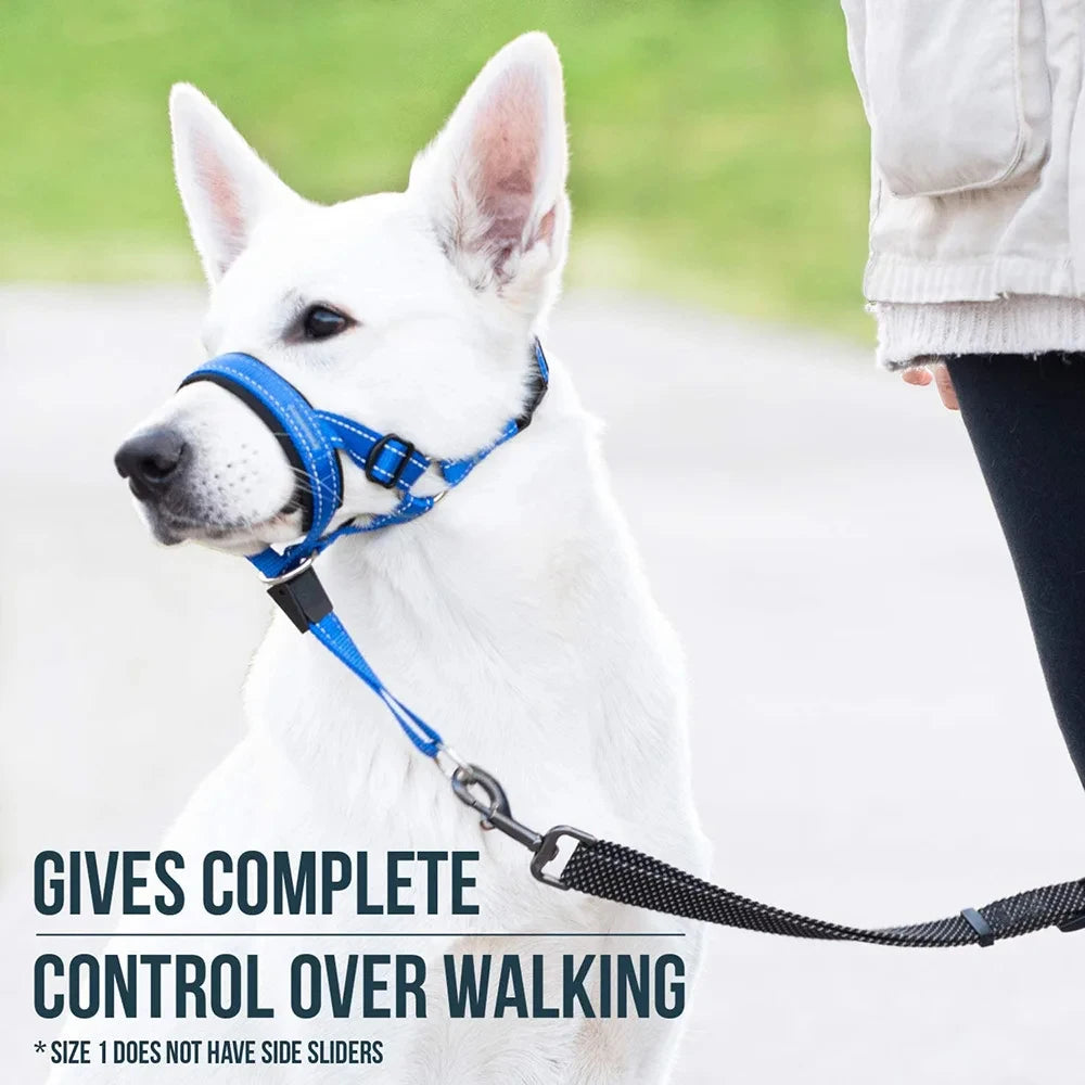 Anti-Bark Training Breathable Nylon Dog Muzzle Set
