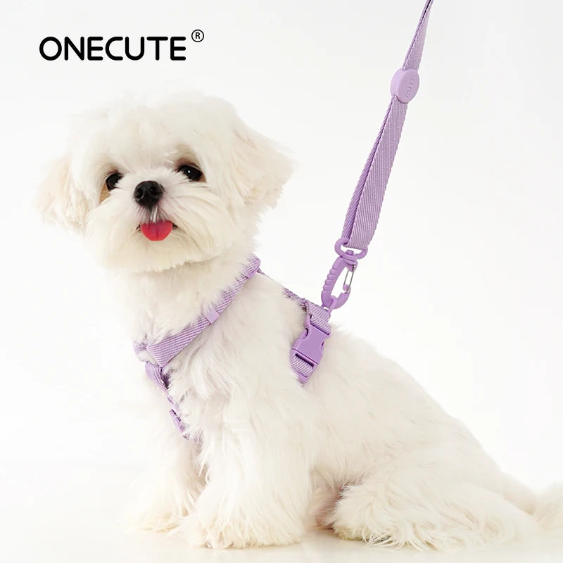 Adjustable Macaron Color Pet Harness And Leash Set