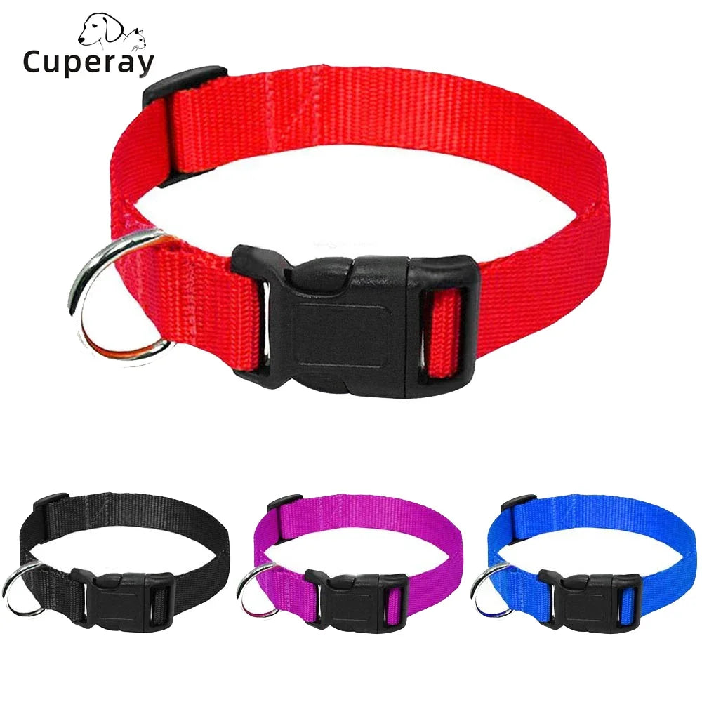 Adjustable Durable Nylon Pet Collar with D-Ring