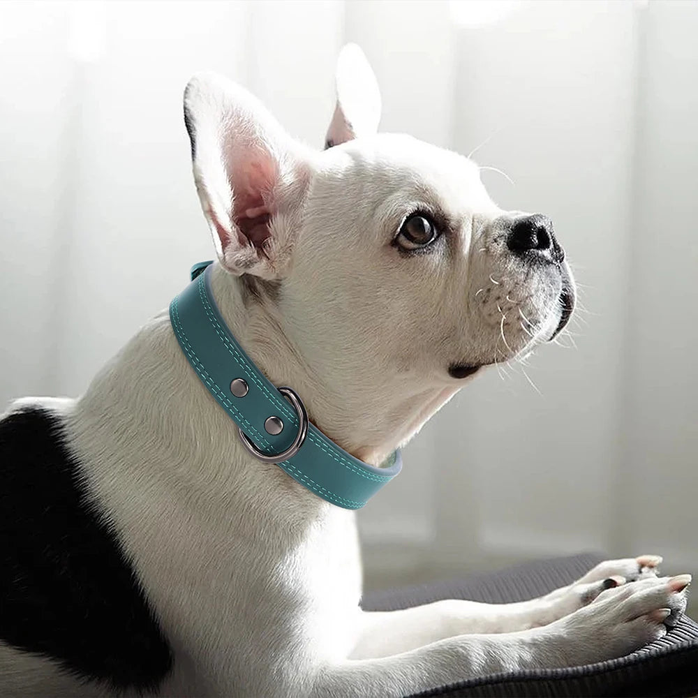Soft & Durable Real Genuine Leather Dog Collar