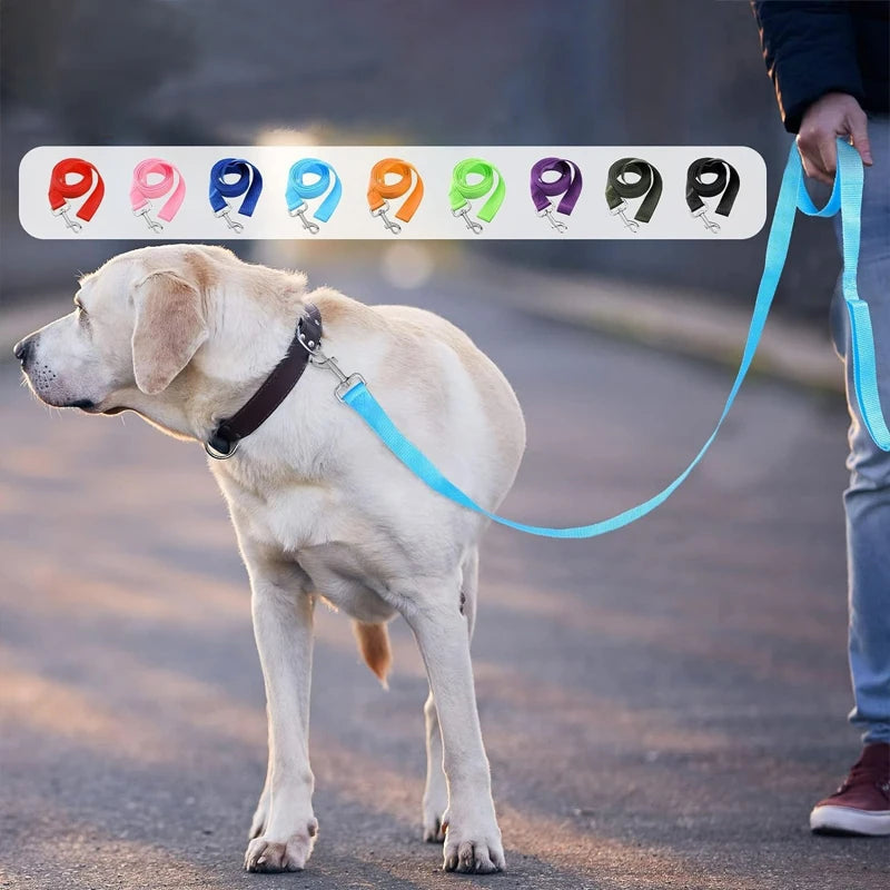 20m Long Solid Color Polypropylene Dog Leash