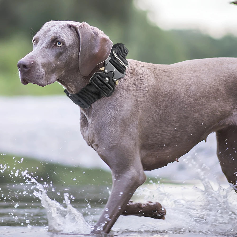 Heavy-Duty Rugged Zinc Alloy Tactical Dog Collar