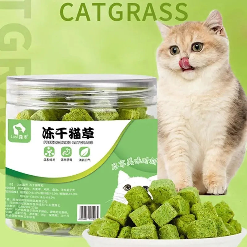 Teething Snacks Freeze-Dried Cat Grass Treats