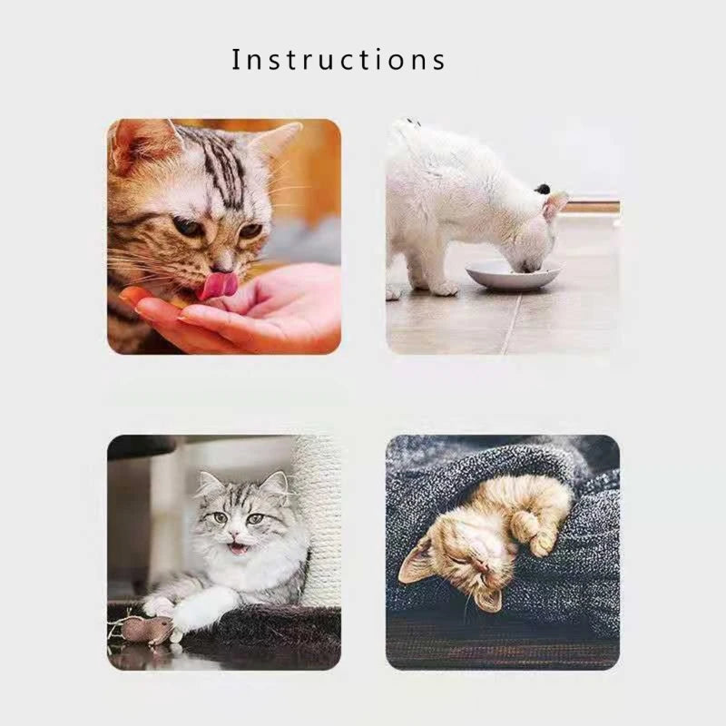 Fun Training Treats 10-Pack Natural Catnip Powder