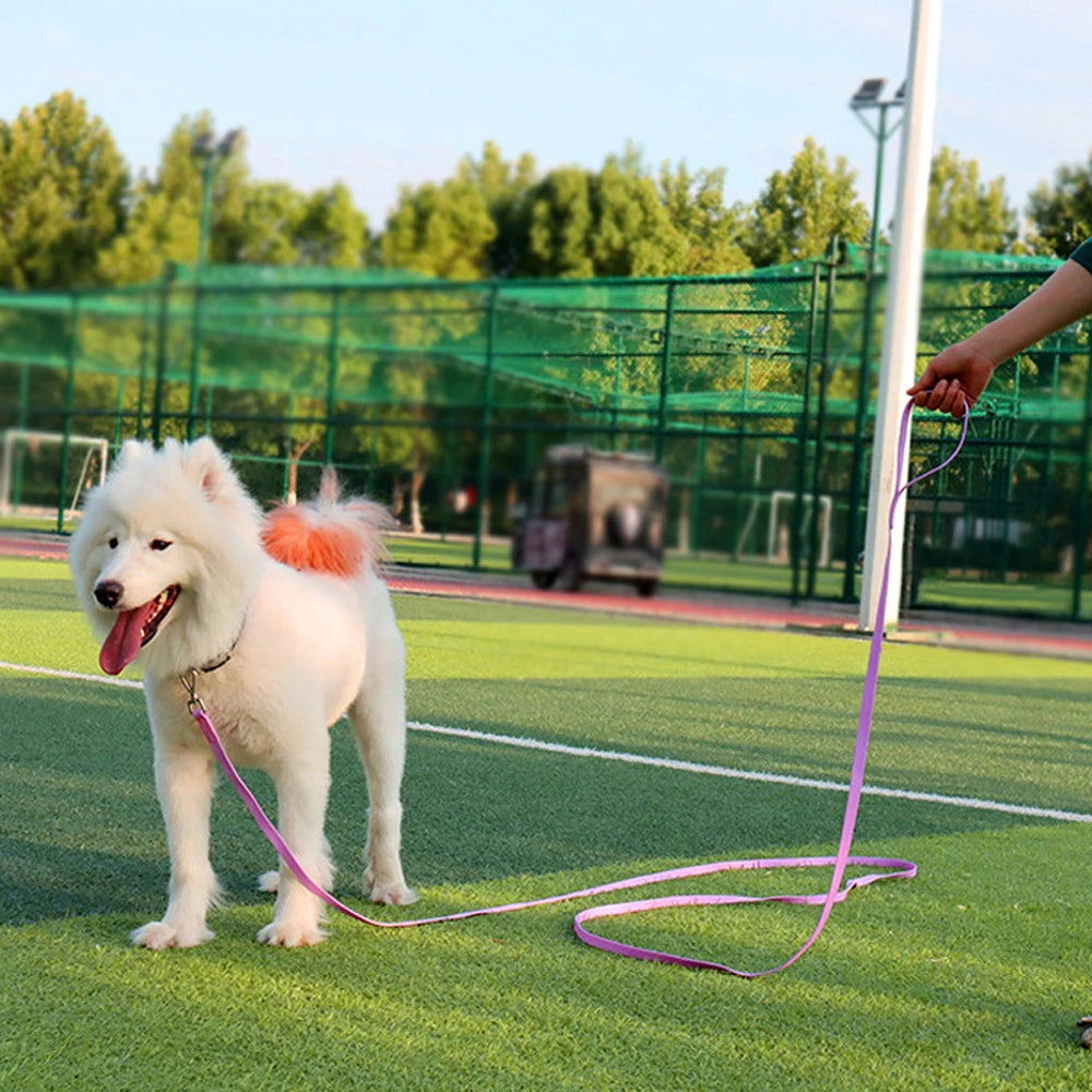 Long PVC Dog Leash for Outdoor Walking & Training