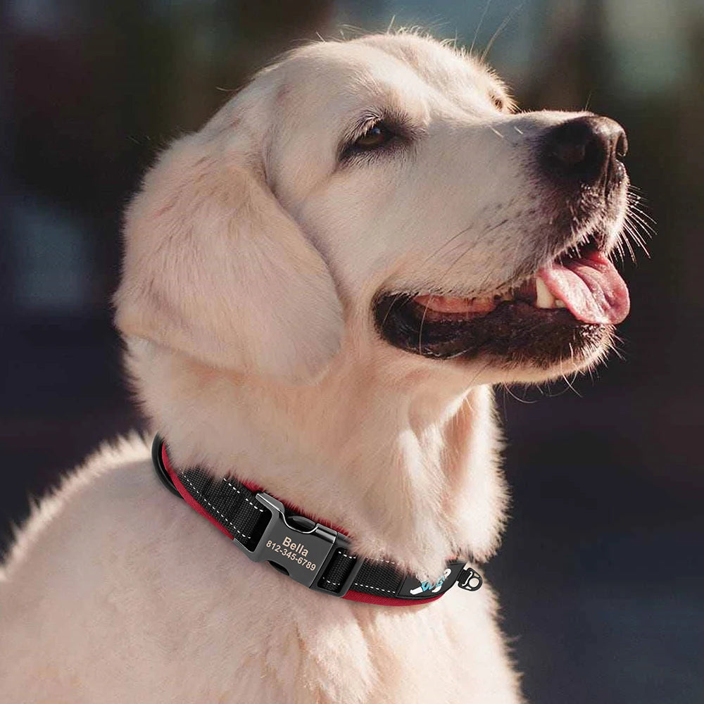 Adjustable Padded Personalized Reflective Dog Collar