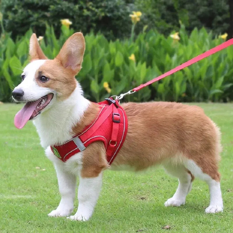 Reflective Pet Harness & Leash Set No-Pull Vest with Breathable Mesh