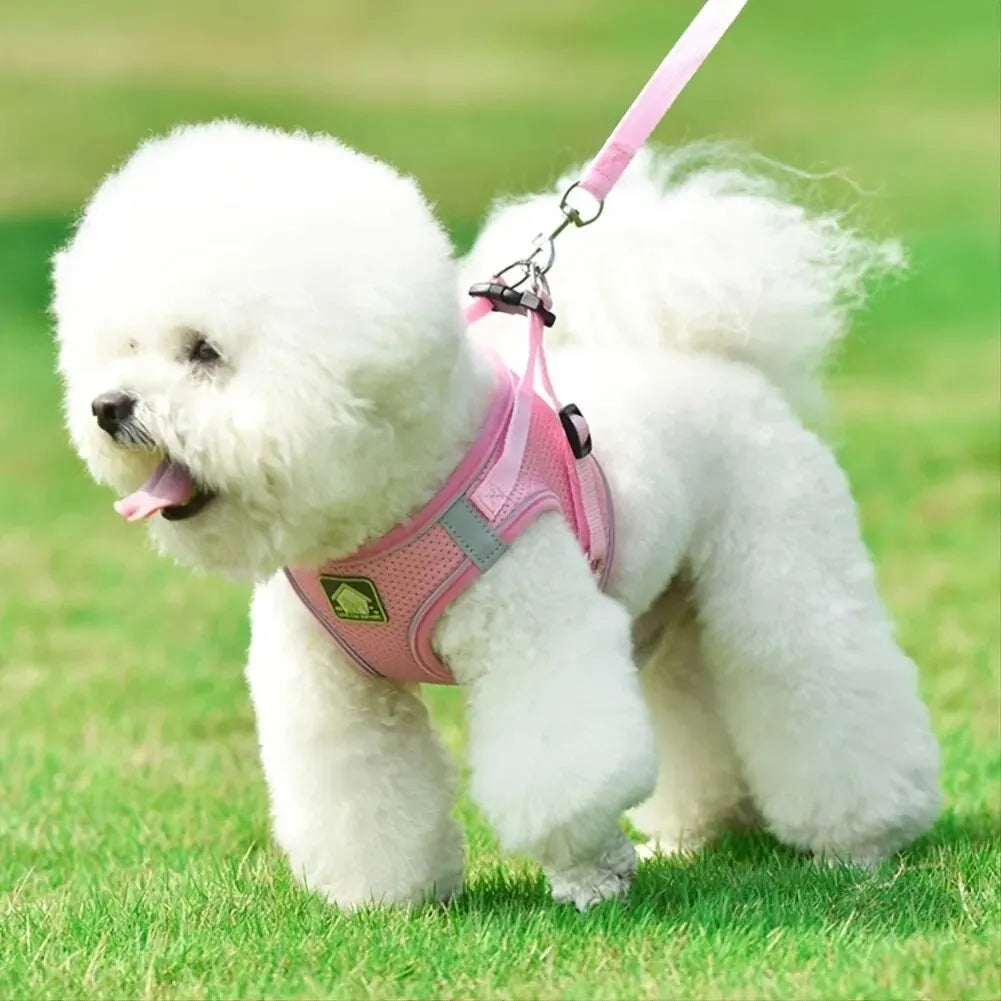 Reflective Pet Harness & Leash Set No-Pull Vest with Breathable Mesh