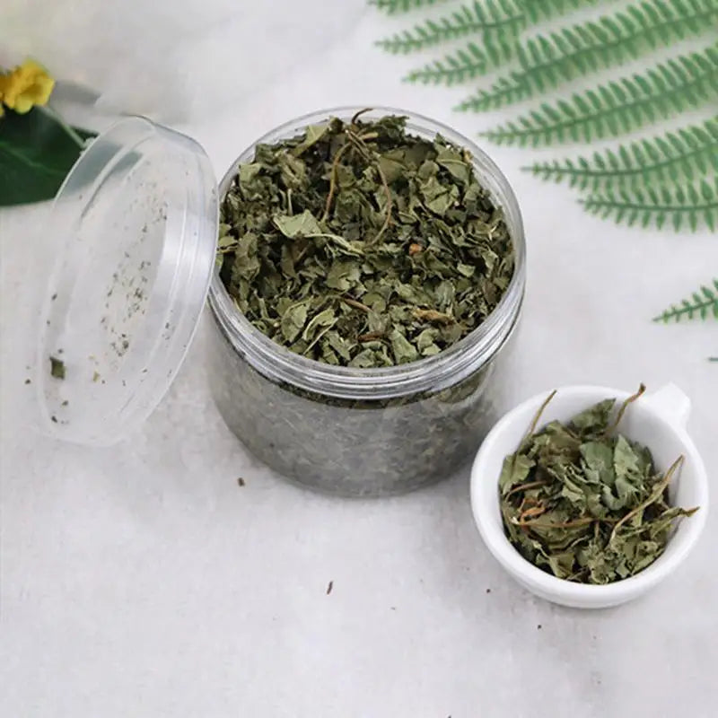 Natural Hairball Remedy Organic Catnip Supplement