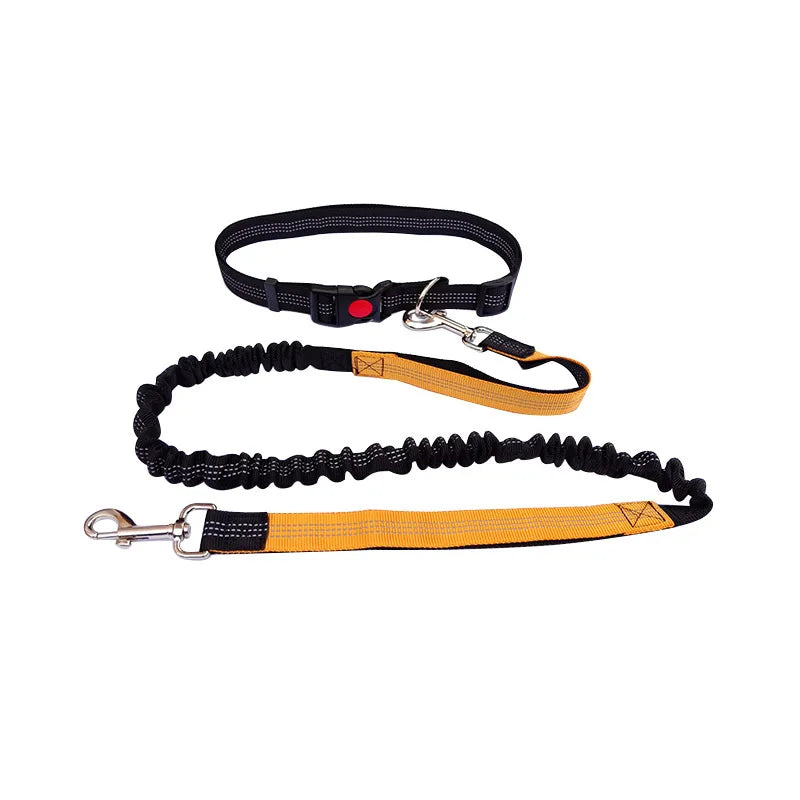 Hands-Free Adjustable Dog Leash with Waist Belt and Chest Strap