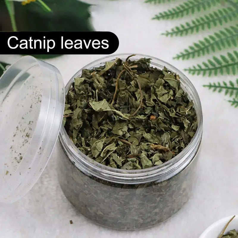 Natural Hairball Remedy Organic Catnip Supplement