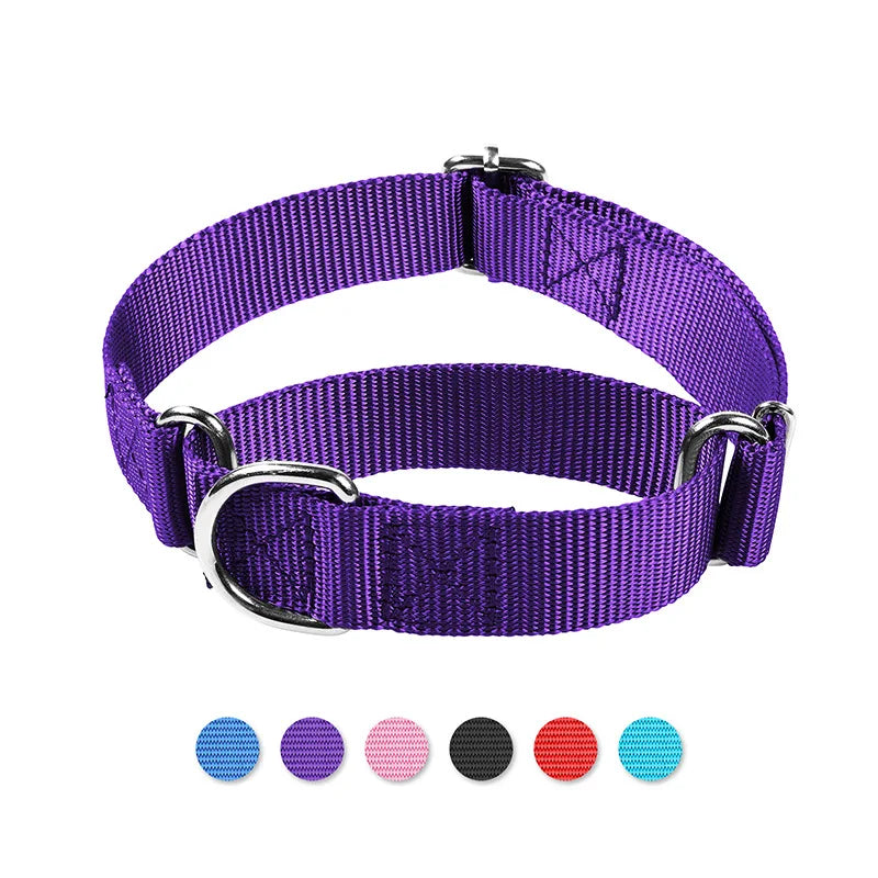 Adjustable Nylon Training Heavy-Duty Martingale Dog Collar