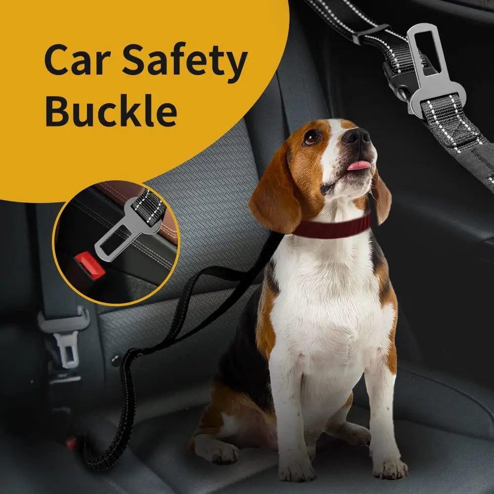 6-in-1 8ft Adjustable Bungee Waist Hands-Free Dog Leash
