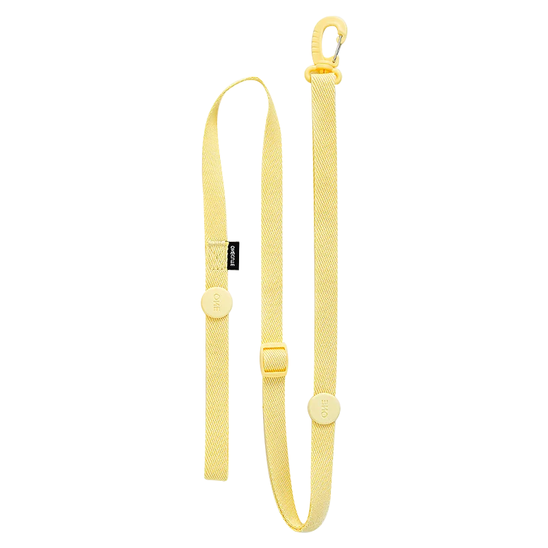 Adjustable Macaron Color Pet Harness And Leash Set