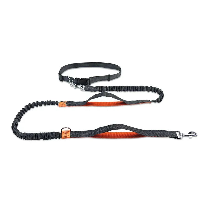 Extendable Pet Leash Dual Head with LED Light for Dogs & Cats