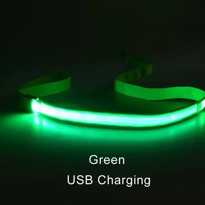 Luminous Flashing Rope Lead LED Light-Up Dog Leash