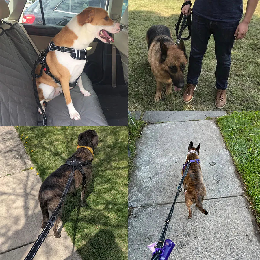 Multifunction Comfort Lead Double Handle Reflective Dog Leash