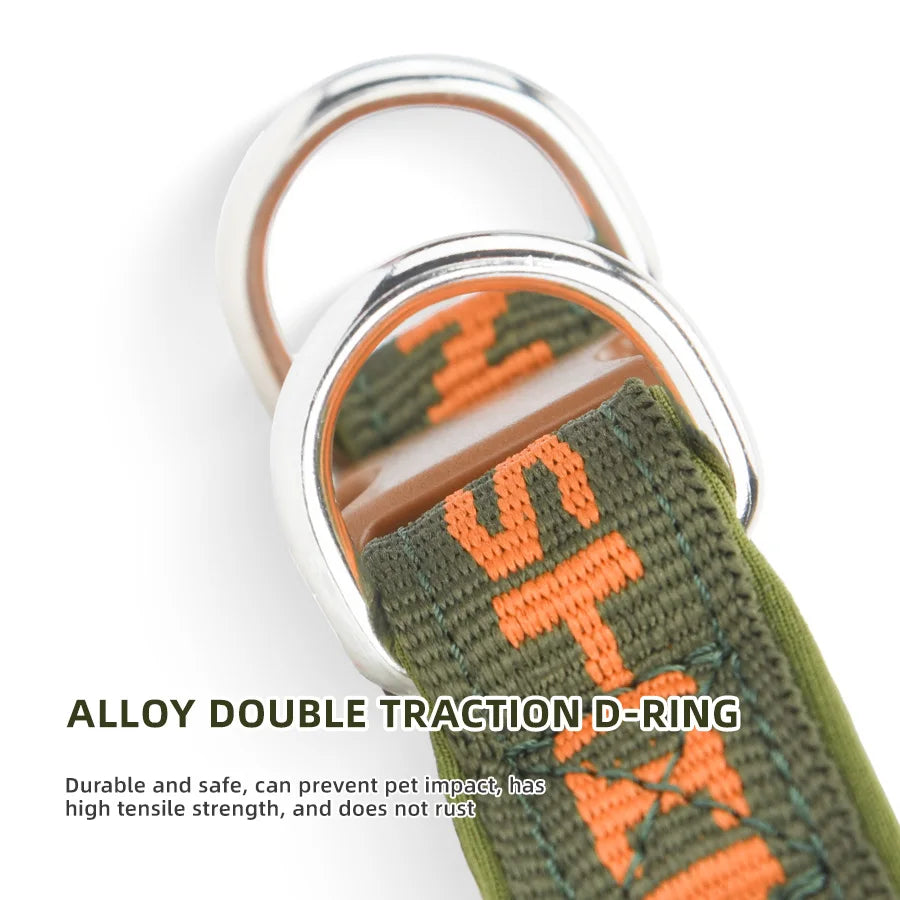 Dog Collar Adjustable, Colorful Prints with Metal D-Rings