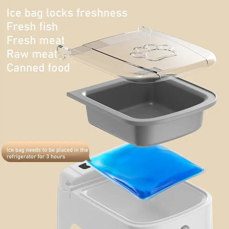 Smart Automatic Pet Feeder Sensor Timed Dispenser for Cats & Dogs
