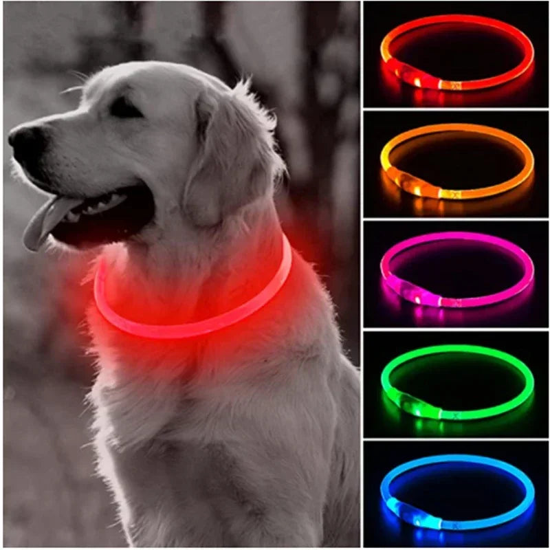 LED Light Dog Collar with Detachable USB Rechargeable Glowing Collar